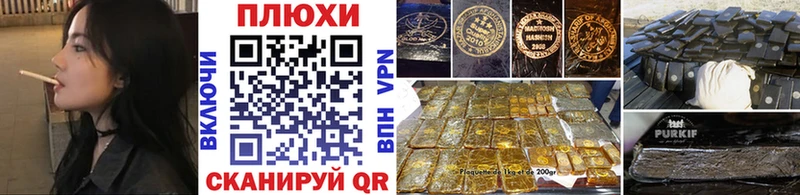 ГАШ Premium дарнет шоп Истра