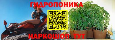 эйфоретик Абакан