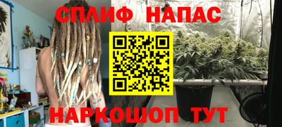 гашик Канаш