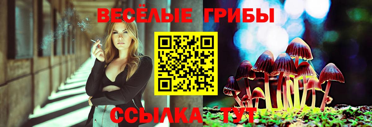 где купить наркоту  Вход с VPN  Истра  Галлюциногенные грибы MAGIC MUSHROOMS 