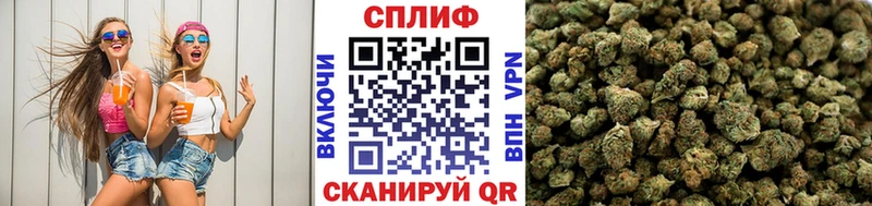 купить   Истра  Шишки марихуана конопля 